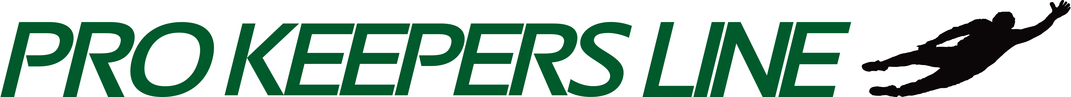 Elite Goalkeeper Academy